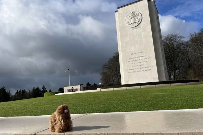Brussels: Battle of the Bulge Day Tour with Private Guide