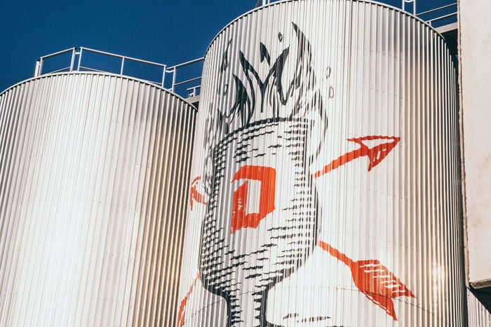 Brussels: Dance with the Duvel Beer Tour to Puurs & Antwerp