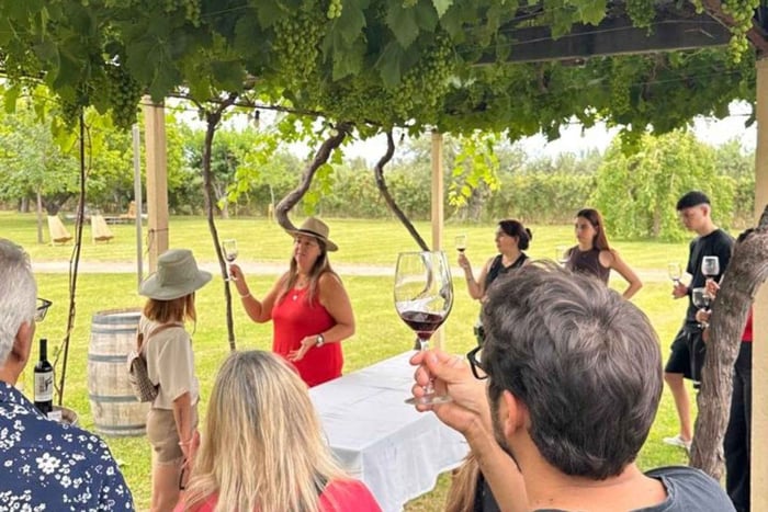 9 dégustations de vins dans 3 domaines viticoles plus une oliveraie à Maipu, Mendoza