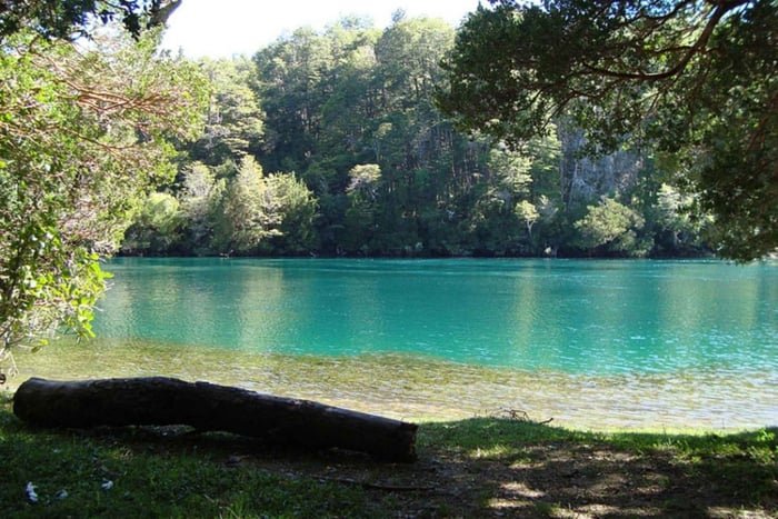 Bariloche: Catamaran Cruise to Victoria Island and the Arrayanes Forest