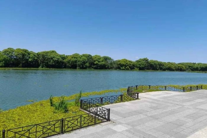 Buenos Aires - Costanera Sur: Natur & Landschaften | Privater Spaziergang |