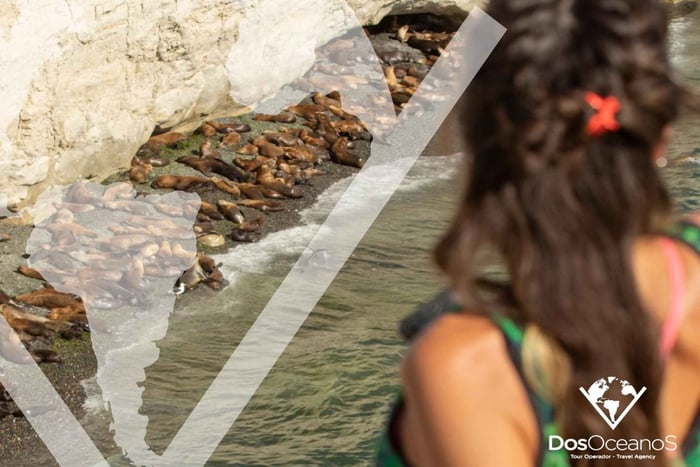 Cruisepassagiers: stadstour door Puerto Madryn en Punta Loma