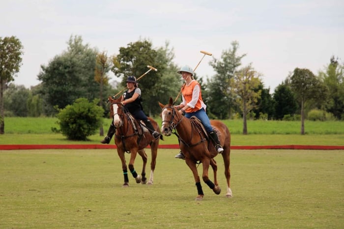 Von Buenos Aires aus: Polospiel, Lektion und BBQ-Tagesausflug