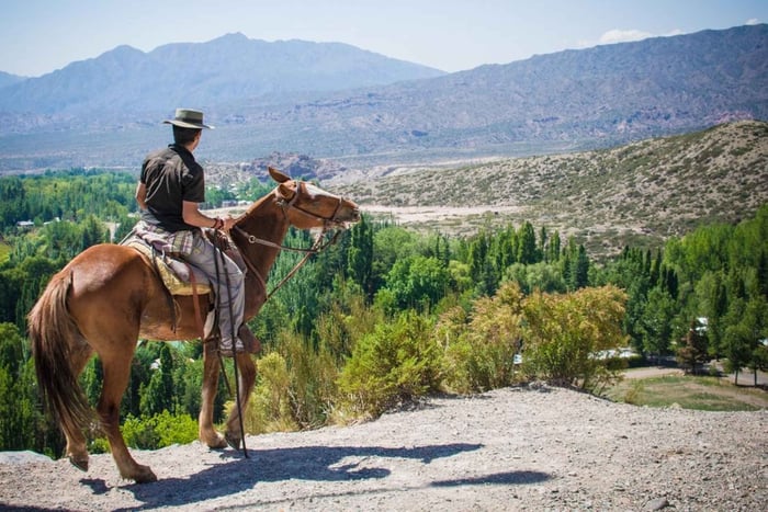 Desde Mendoza: Cabalgata al Atardecer y Asado en los Andes