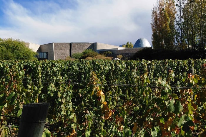 From Mendoza: Zuccardi Winery Private Tour with Lunch