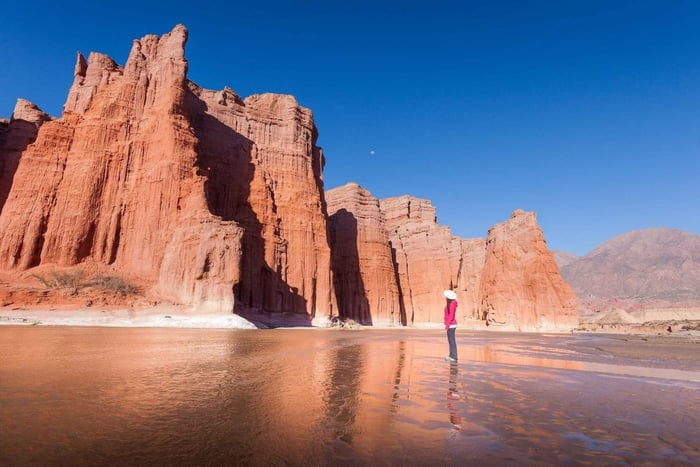 De Salta: Viagem de 1 dia a Cafayate com prova de vinhos