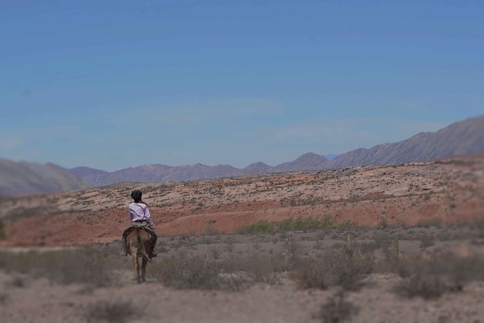 Horseback riding tour in the Valles Calchaquíes – Salta – Argentina