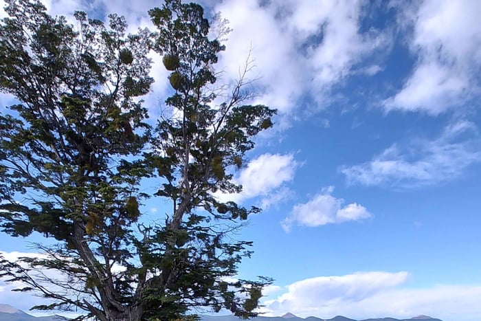 Low Cost Ushuaia Lakes Tour