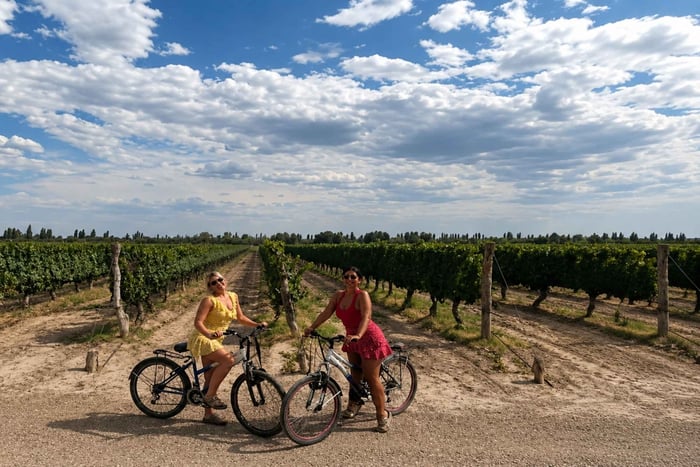 Maipú Mendoza: Bikes & Wine with Lunch