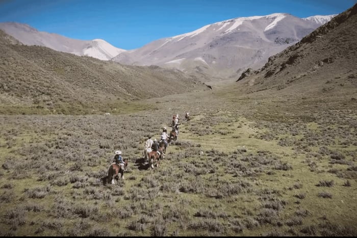 Mendoza : randonnée à cheval dans les Andes avec asado traditionnel et vin