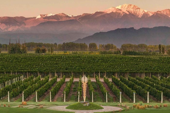 Mendoza: Bodega Norton Winery Tour with Wine Tasting