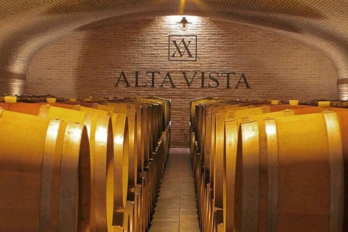 Mendoza: Culinary Experience at a Winery