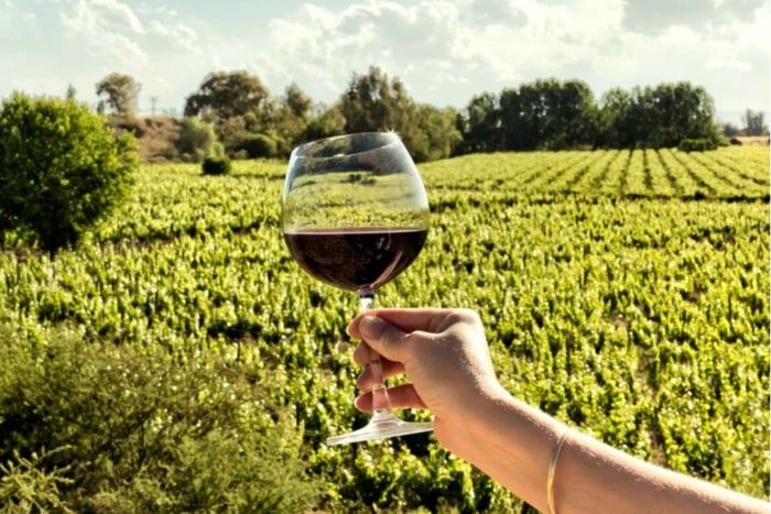 Mendoza : visite exclusive des caves, des vins et de la gastronomie locale
