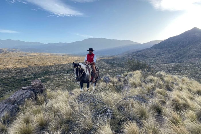 Mendoza: paseo a caballo por los Andes con auténtica barbacoa