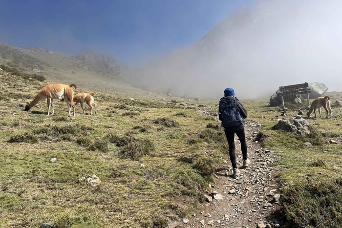 Mendoza: Private Andes Trekking Experience in Vallecitos