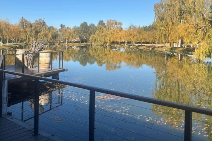 Mendoza: Private Cooking Class with Winery Tour & Lunch