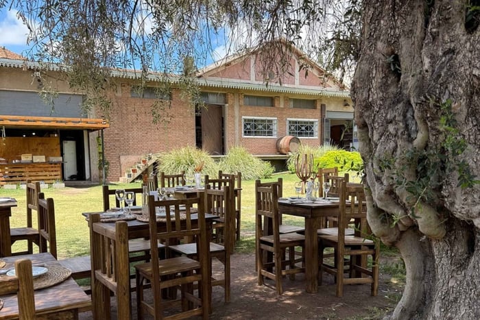 Mendoza: Private Winery Tour with Blending Workshop