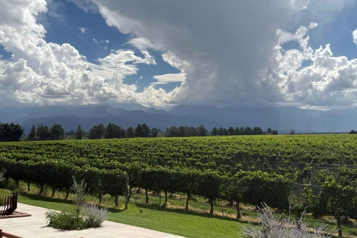 Mendoza, Private Winery Tour