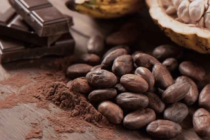 Mendoza: Visit to a chocolate factory, wine tasting, and sunset party