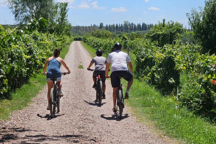 Expérience cycliste dans les vignobles de Mendoza
