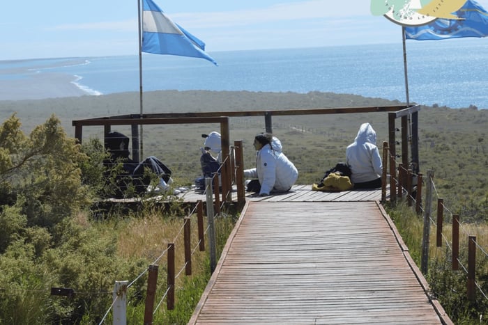 Schiereiland Valdes: Wal excursie voor cruisepassagiers