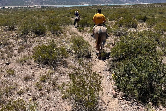 Potrerillos : balade à cheval au coucher du soleil !