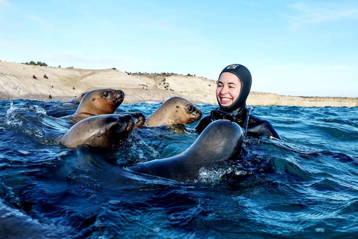 Puerto Madryn: Golfo Nuevo Sea Lion Snorkeling Tour