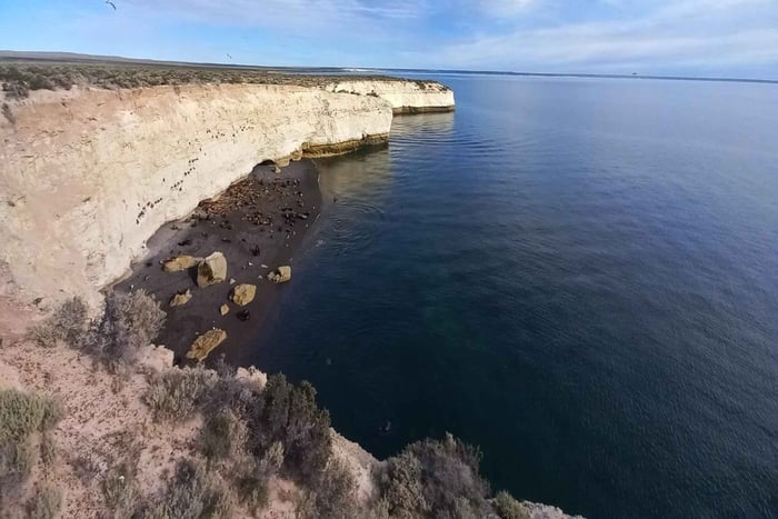 Puerto Madryn: Rundtur i sjölejonreservatet Punta Loma med upphämtning