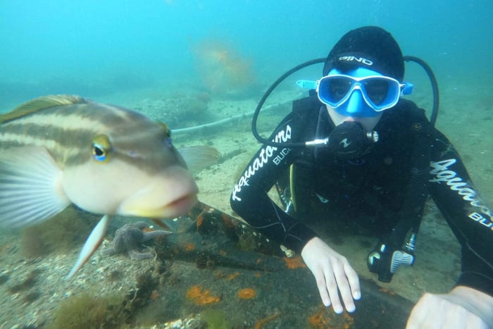 Puerto Madryn: Scuba Diving Experience with Instructor