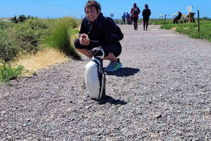 Punta Tombo voor een excursie aan wal voor de cruiseschepen Celebrity en Oosterdam