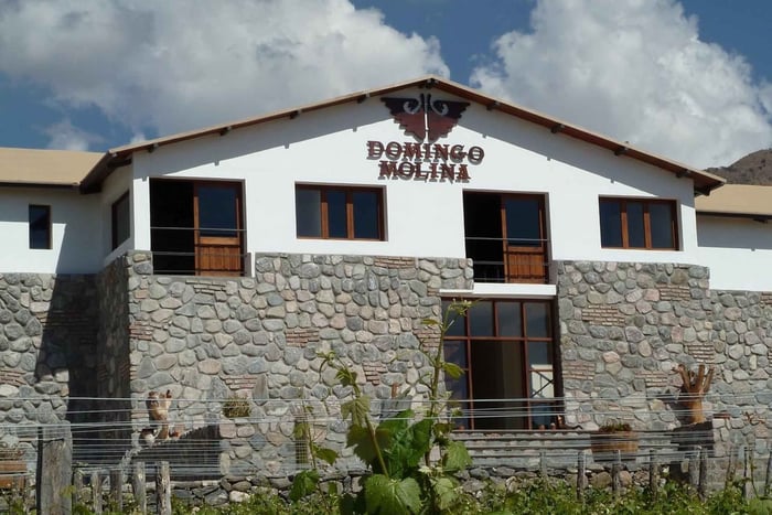 Salta: 2 Wineries and Cheese Factory Tour with Tastings