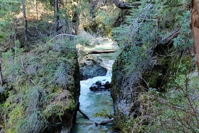 Trekking zum Cajón de Casa de Piedra: Wald, Aussichtspunkte und Arroyo Encajonado