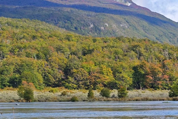 Ushuaia, une expérience entre mer et terre pour découvrir le bout du monde