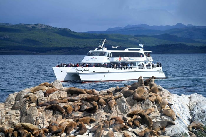Ushuaia: Beagle-Kanal, Robbeninsel und Brückeninseln Tour