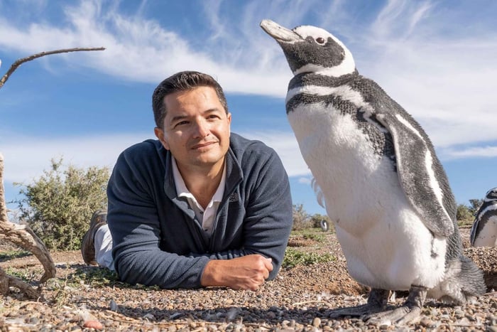 Ushuaia: Ganztagestour zur Insel Martillo – Spaziergang zwischen Pinguinen
