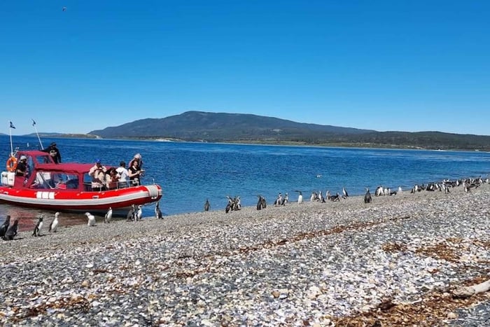 Ushuaia: Puerto Almanza & Penguin Colony Boat Tour