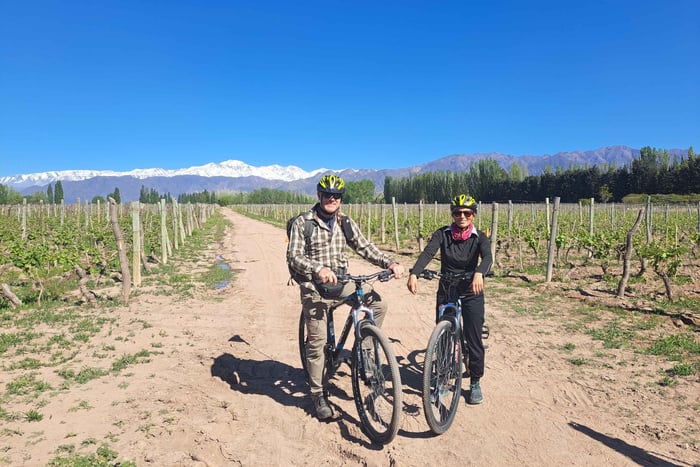 Wine and Chocolate Bike Tour: ride, taste, lunch, vineyards.