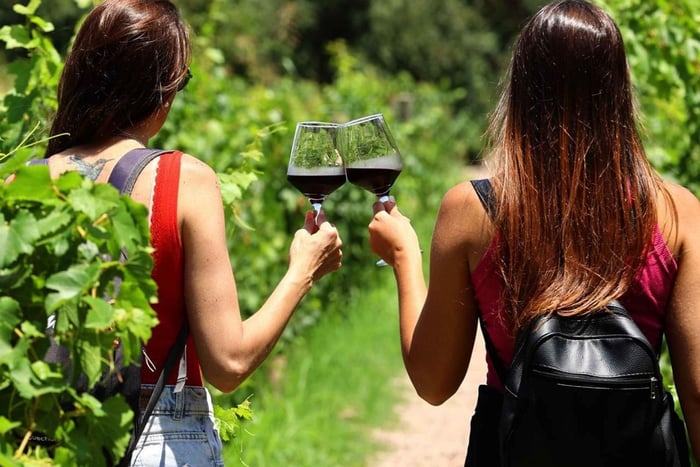 In Mendoza: Weintouren, Empanadas und Olivenöl
