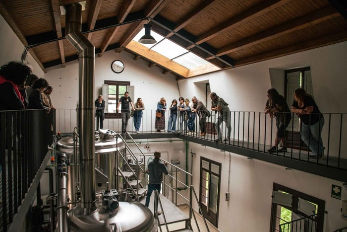 Borines: tour turistico del birrificio Cerveza Ordum con degustazione, assaggio e spillatura della birra.