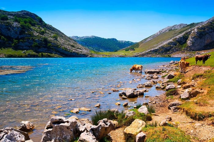 From Oviedo and Gijón: Lakes of Covadonga, Lastres and Tazones