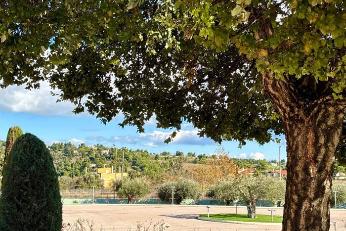 Athens: Athens Wine Tasting Tour with Breakfast&Museum Visit