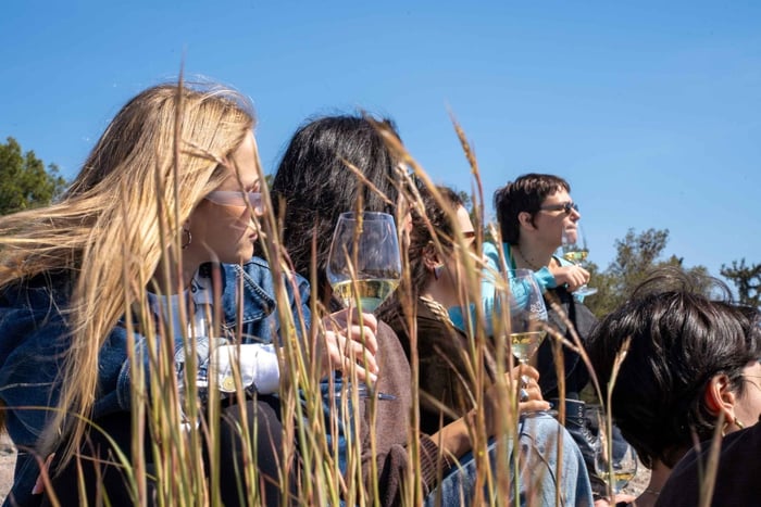 Atenas: Cata de vinos griegos y picnic en la colina de Filopappou