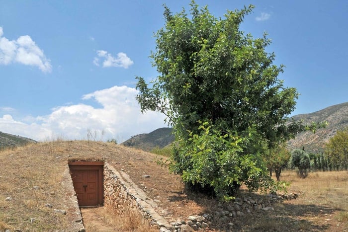 Marathon: Olympische loop en slagveld - privétour vanuit Athene