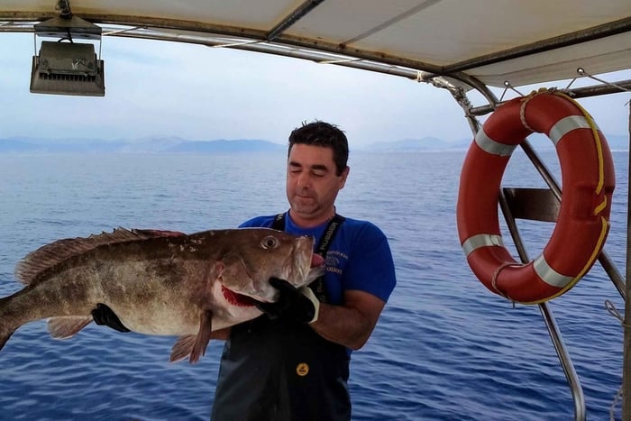Tour de pesca privado en un barco tradicional desde Atenas
