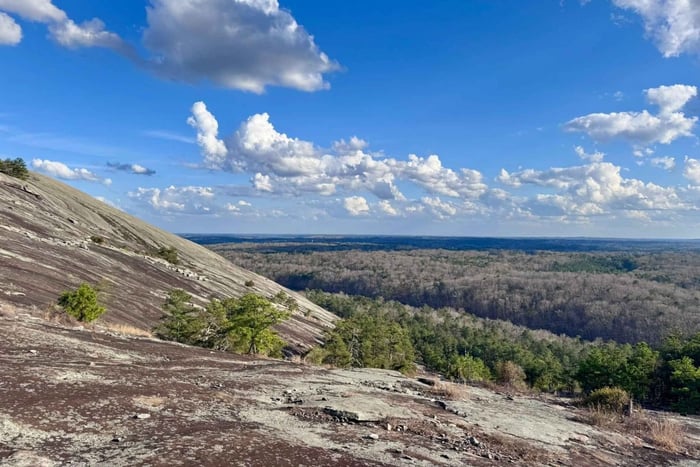 Stone Mountain Plus - Private Tour with a Local