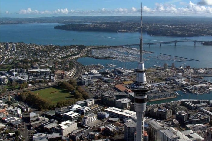 Auckland: City Highlights Private Tour