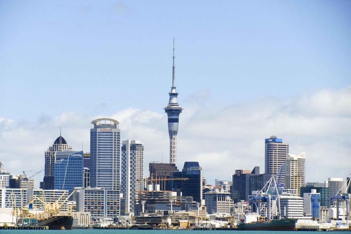 Auckland City Highlights & Sky Tower Observation Deck Tour