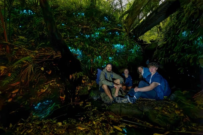 Auckland Glowworm Tour