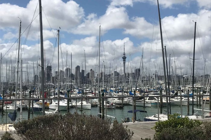 Auckland: Half-Day Private City Highlights Tour