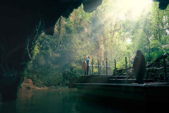 Auckland: One-Way Tour to Rotorua with Waitomo Caves